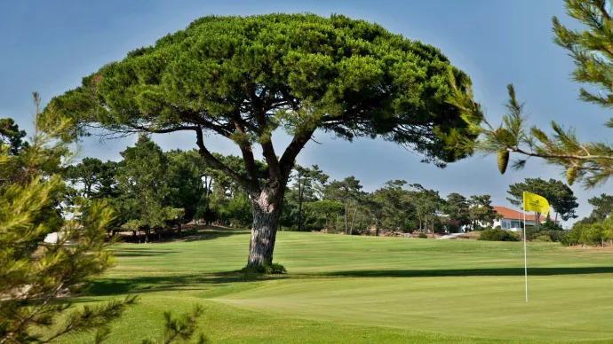 https://mail.portugalgolfcourses.info/build/assets/golf-BzQm-30l.jpg