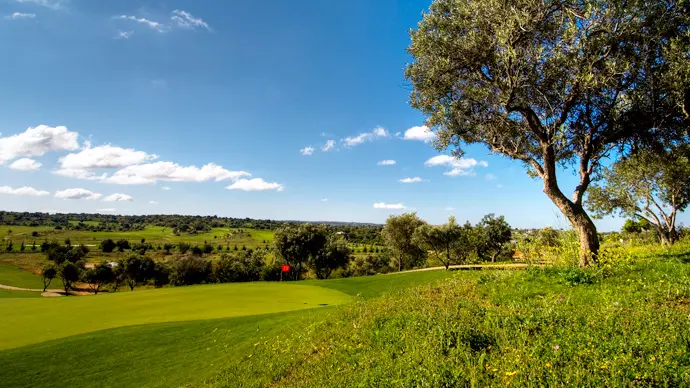 https://mail.portugalgolfcourses.info/build/assets/golf-BzQm-30l.jpg