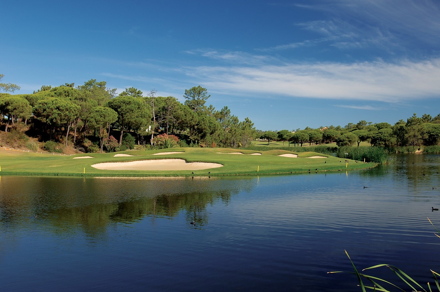 https://mail.portugalgolfcourses.info/uploads/golf-courses/San_Lorenzo_Golf_Course_QS4mRWFEYe_20240609115609.jpg