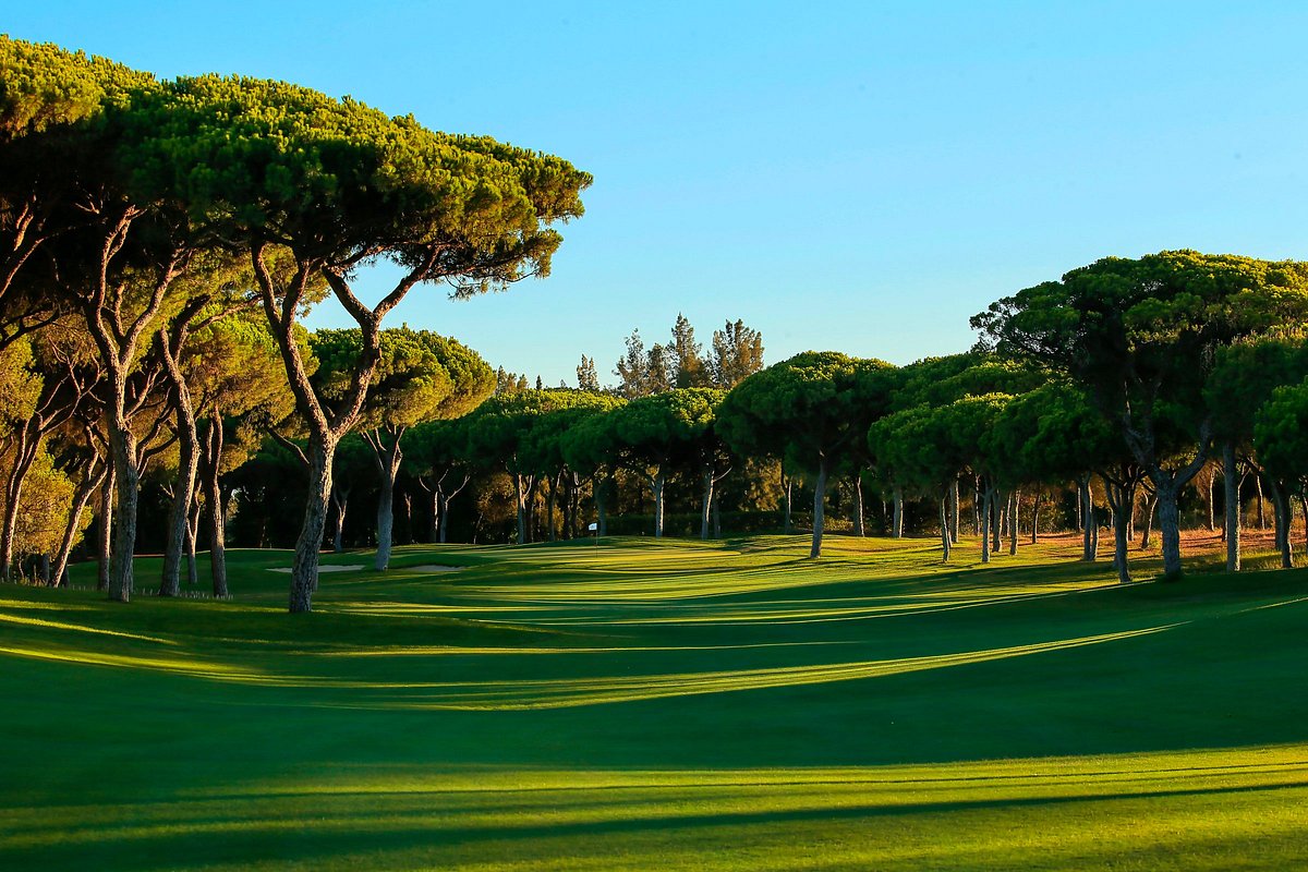 https://mail.portugalgolfcourses.info/uploads/golf-courses/Vilamoura_Millennium_Golf_Course_2_WefN5w47V7_20240609115955.jpg